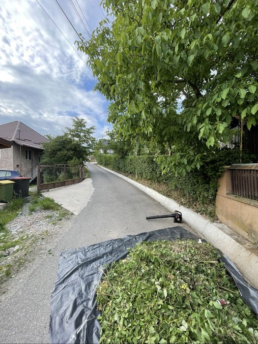 Servicii spații verzi – Baia Mare și împrejurimi