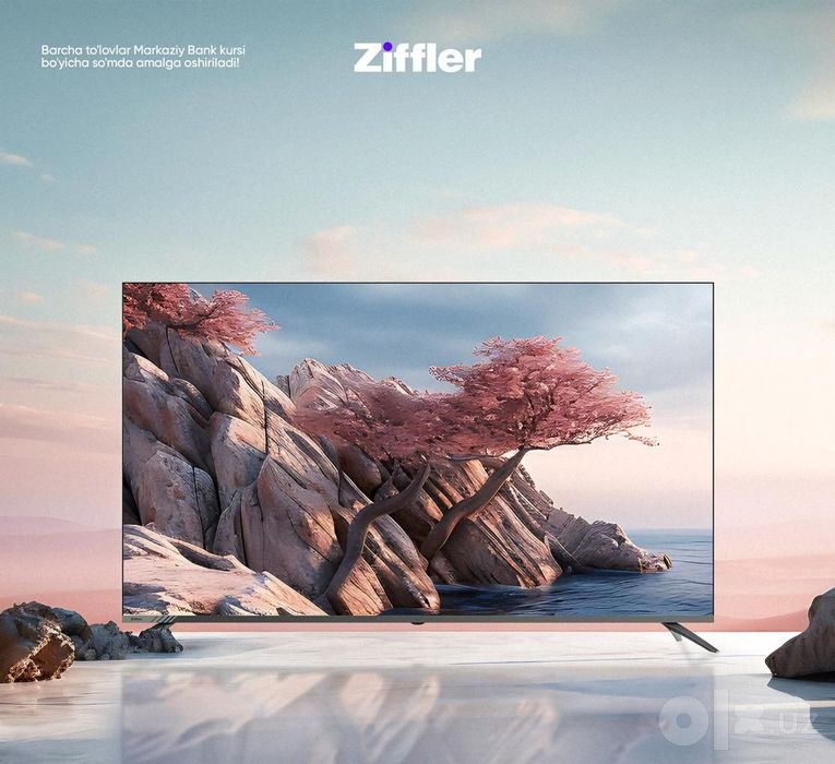 Televizor Ziffler F65Q85OU QLED 4K