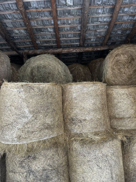 Baloti rotunzi 120/120