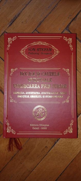 6 carti psihoterapeut Stefan Ion, Miracolul salvarii ingerilor