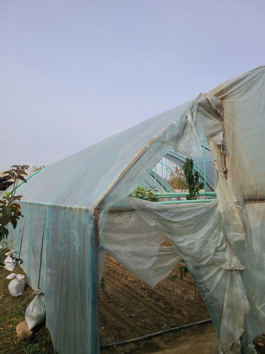 Типлитса 2.35 сотих