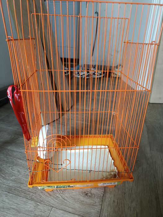 Клетка для хомяка