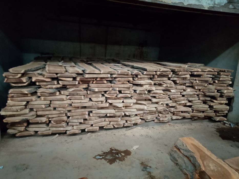 Карагач. Қарағаш