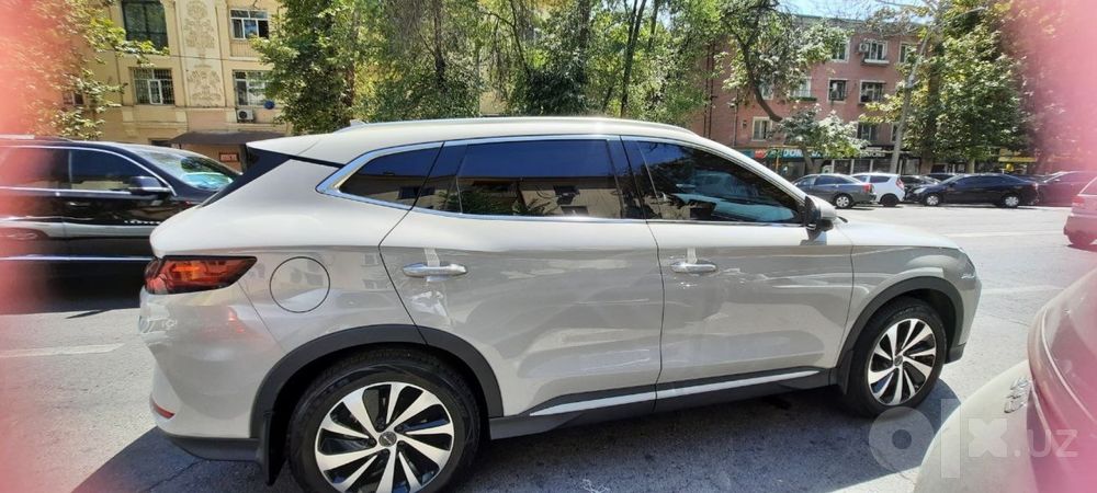 Byd chempion 520