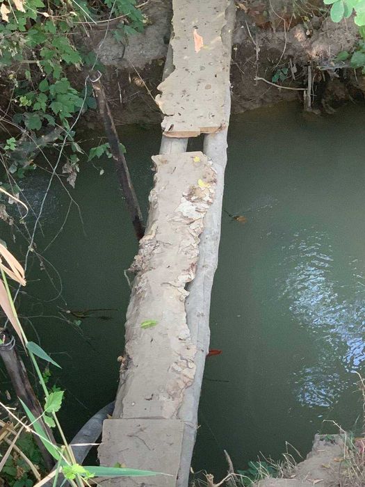 Bog` giloz bog 100ta sotixi 1500$dan kelishamiz