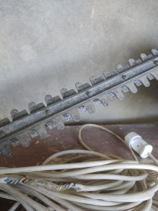 Archa kesaman doriliman