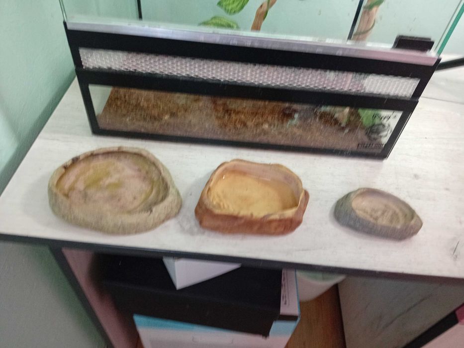 Терариум терароум терариум