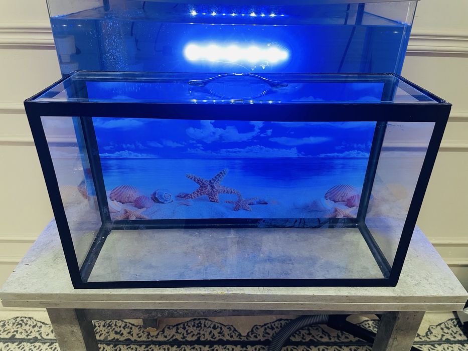 Аквариум для рыбок Актау