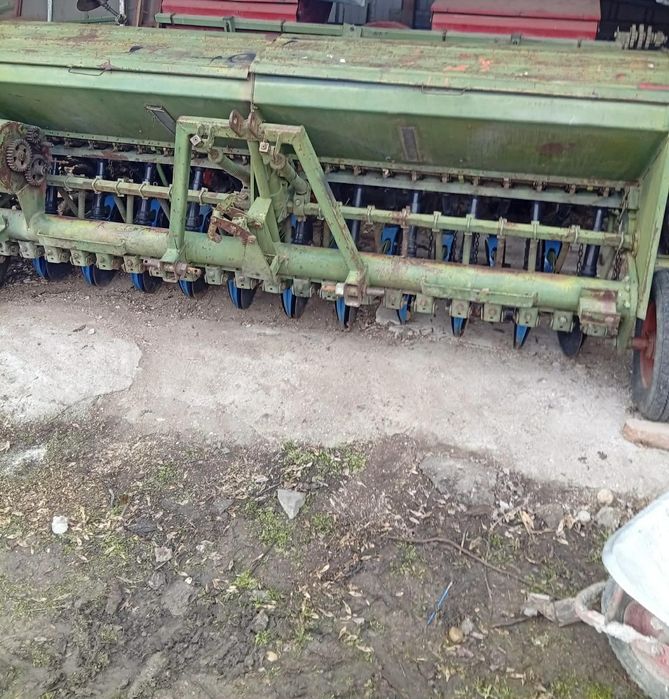 Sămanatoaregrau ( paioase)