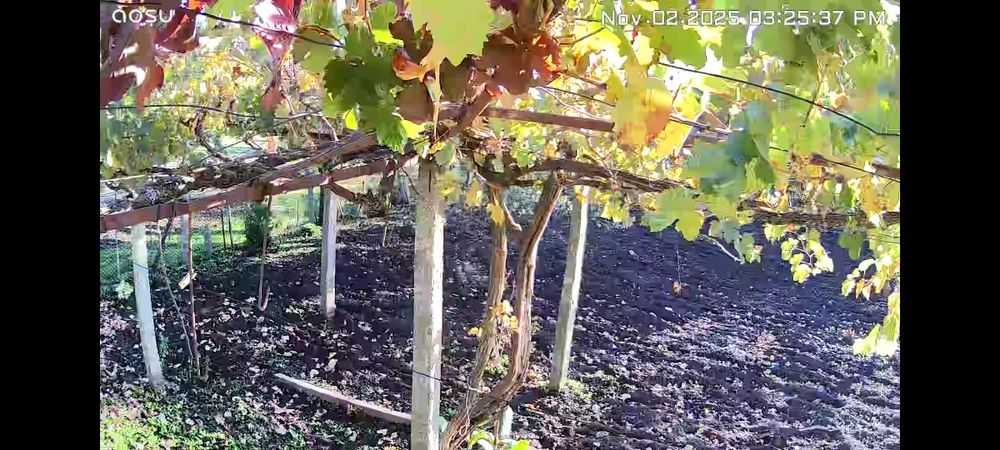 Соларна камера -Чисто нова