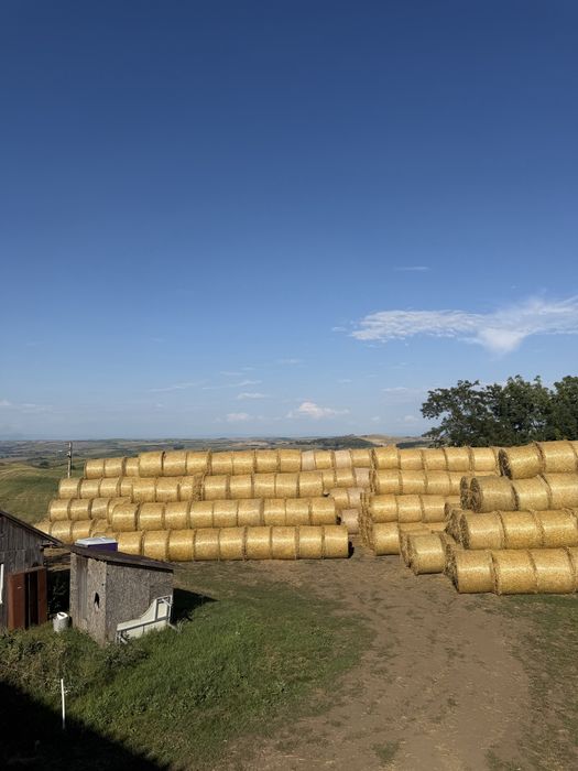 Baloți din paie de grâu
