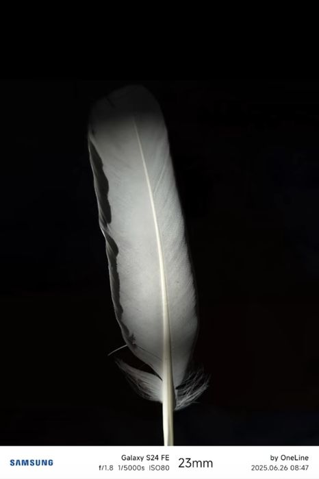 Samsung S24 FE В ИДЕАЛЕ