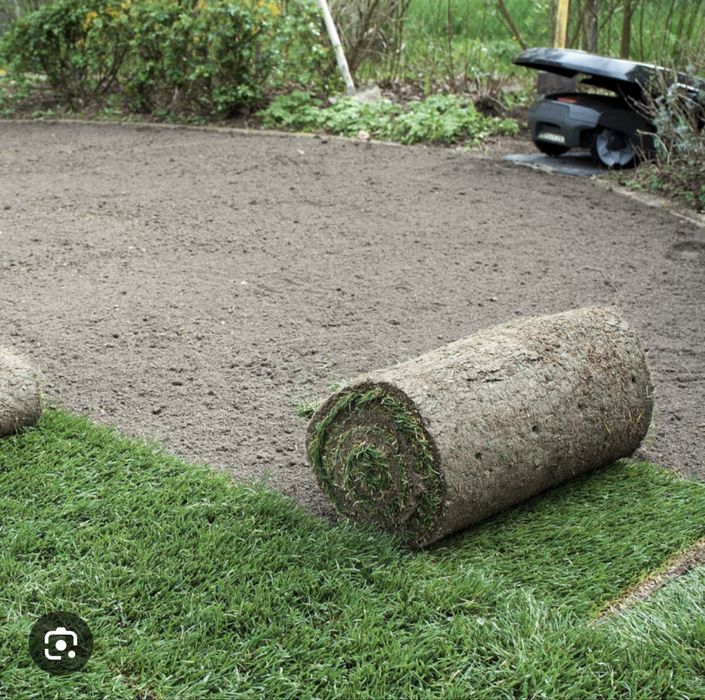 Gazon rulou livrat direct la tine - Verde instant in gradina