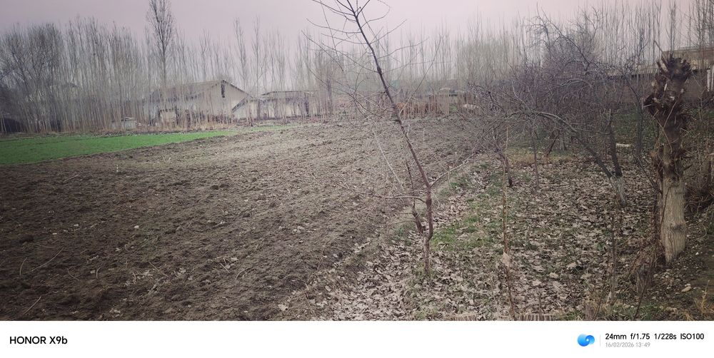 20 sotix yer maydoni