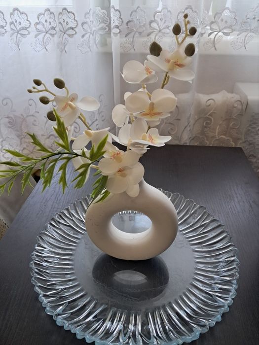 Орхидея, декорация для дома, Бельгия