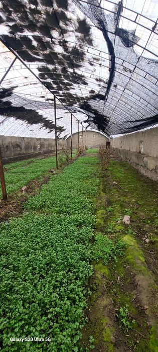 Uchkoprik tumani qoqonboyda xonadon sotiladi