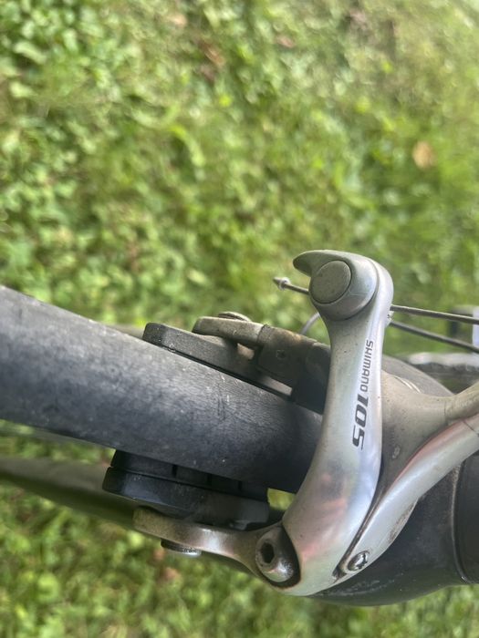 Cursiera Specialized Elite
