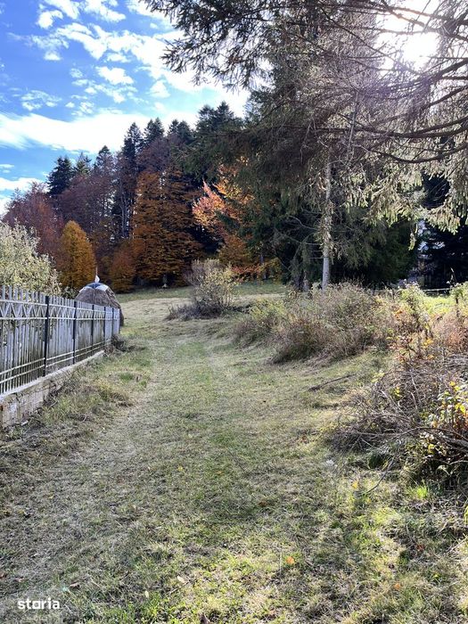 De vânzare teren Intravilan Bușteni