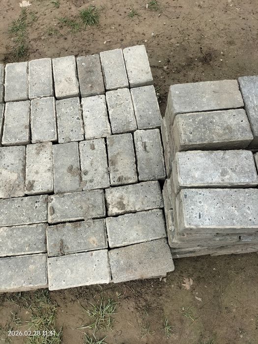 Burchatka betuni 10/10/20