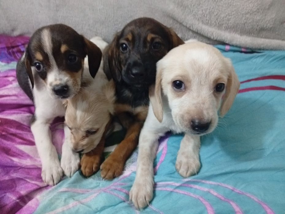 ЛЮДИ ДОБРЫЕ помогите