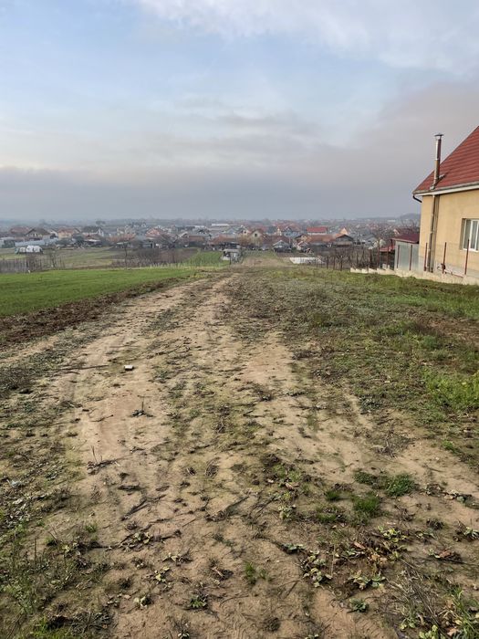 Teren lângă pădurea Alparea, Oradea