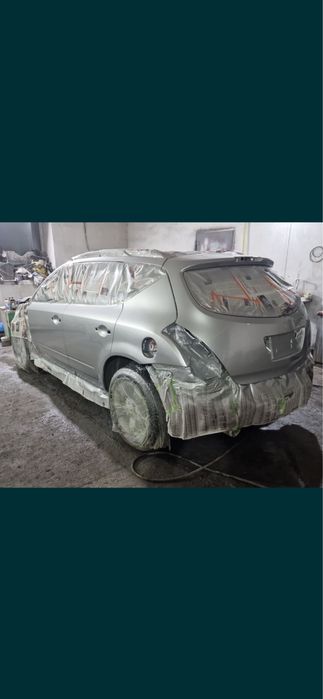 Костоправ маляр