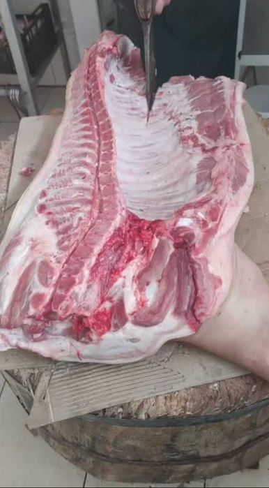 Продам мясо Свинины