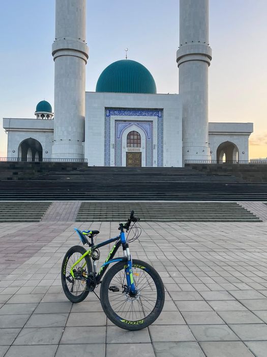 Велосипед phoenix