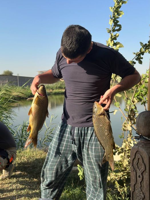 Рыбалка! Проточная вода, клев супер