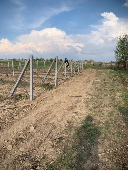 Беталды қадалар. Шпаллерлер. Стойка