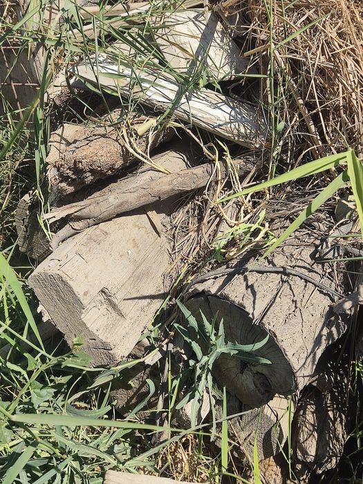 Утин тароша бу тахта ва калама