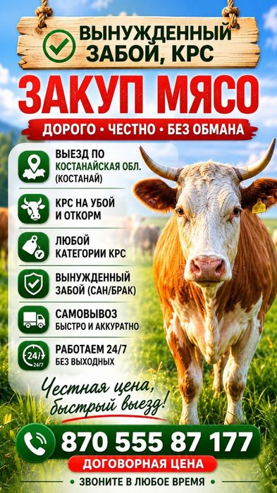 Говядина звоните уточняйте