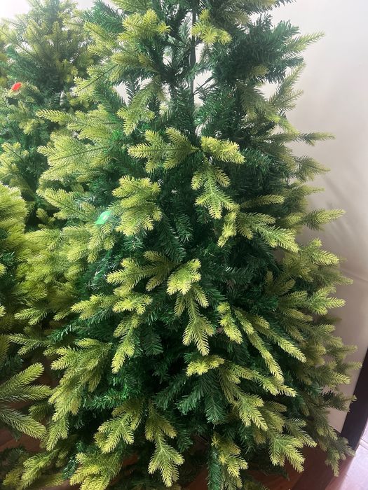 Archa optom sklatdan