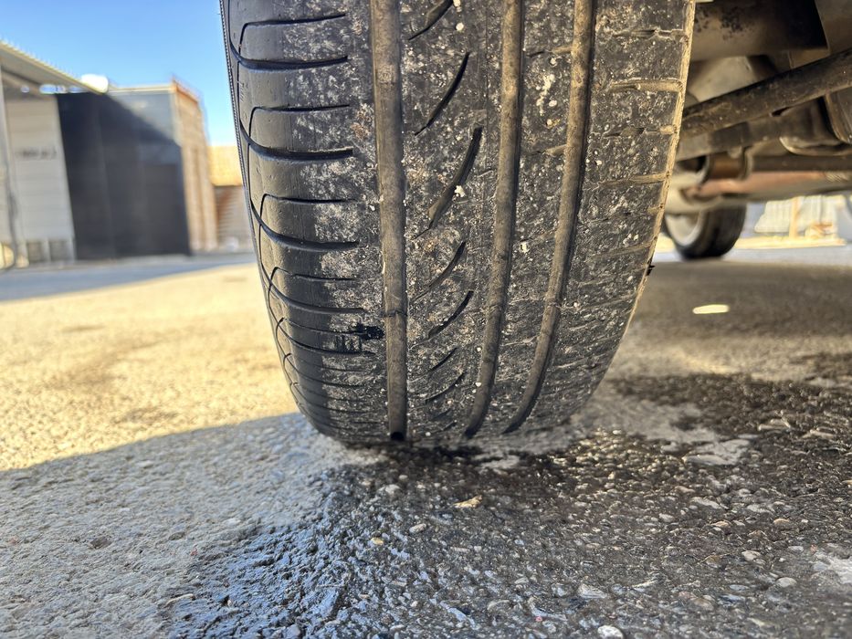 Диска приора рамашка