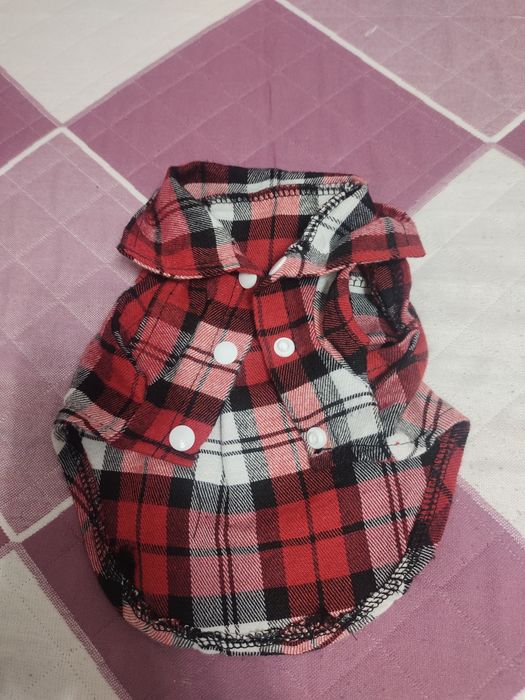 Одежда для собак или кошек