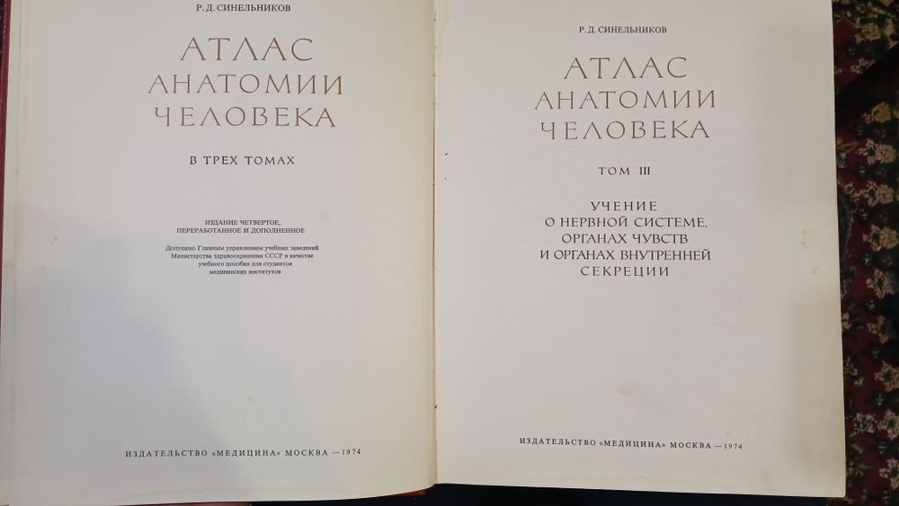 Атлас анатомии человека. Синельников