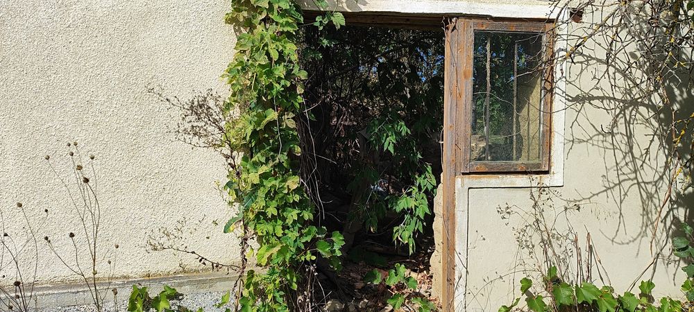 Продава се Парцел в с. Медово, Област Добрич - 2540 кв.м за 2 €/кв.м - Снимка #12