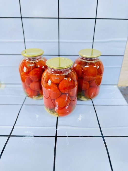 Домошный банки от Шайра