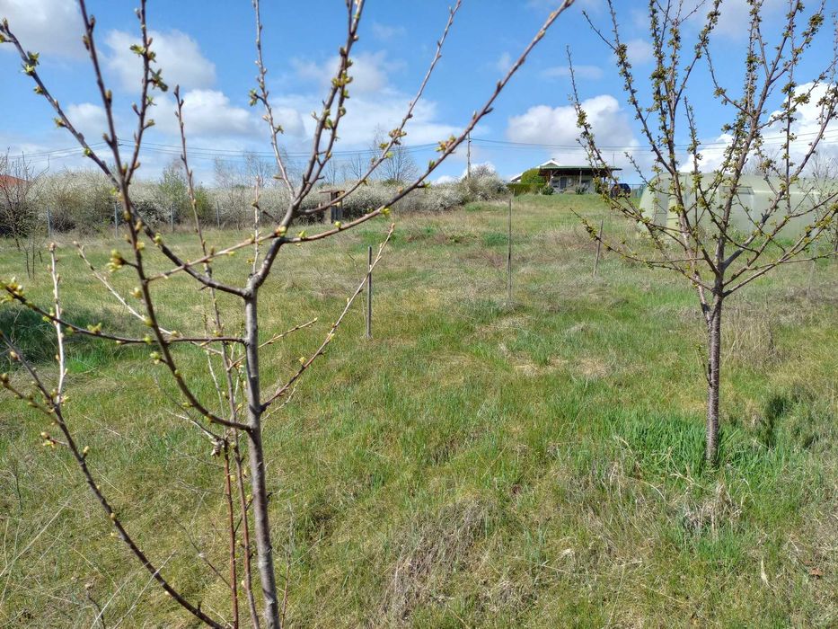 Продава се Парцел в с. Подгумер, Област София-град - 1790 кв.м за 123 €/кв.м - Снимка #3