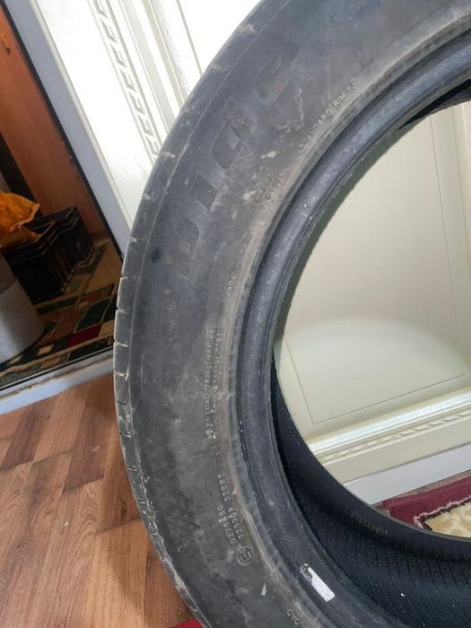 Ризина 17 лік жап жаңа