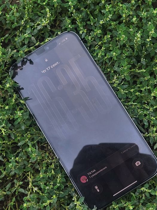 iphone 12pro max