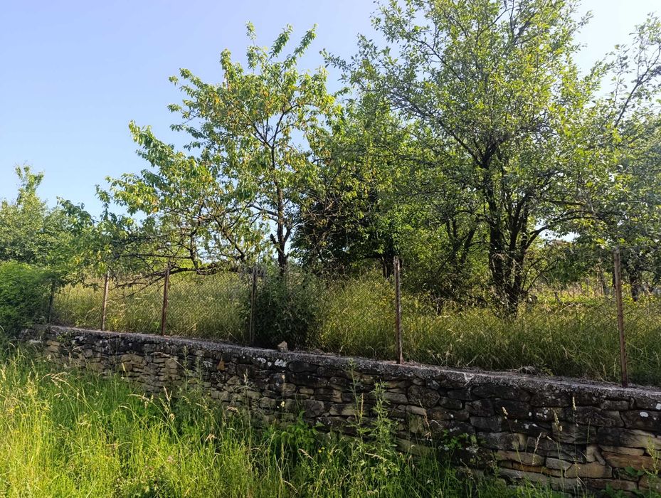 Продава се Парцел в Севлиево - 1750 кв.м за 8 €/кв.м - Снимка #4