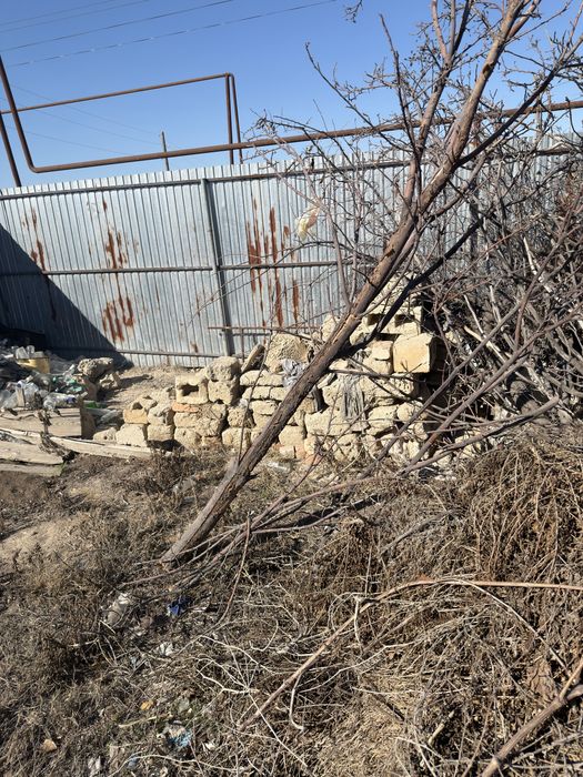 Деревья на дрова