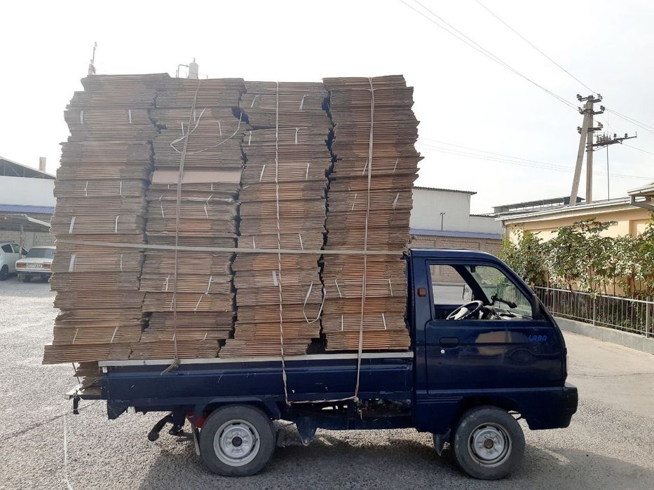 Pererabotka salafan maklatura