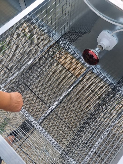 Maternitate profesională pentru pui – 3 compartimente modulare  Capacitate 100+ pui