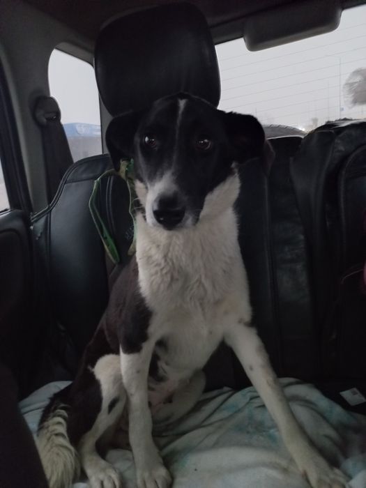 В поиске любящей семьи