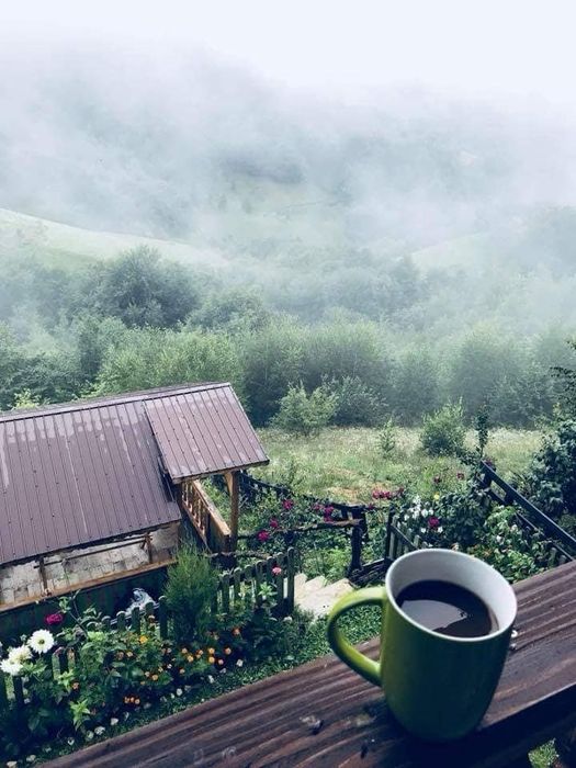 Cabana de închiriat