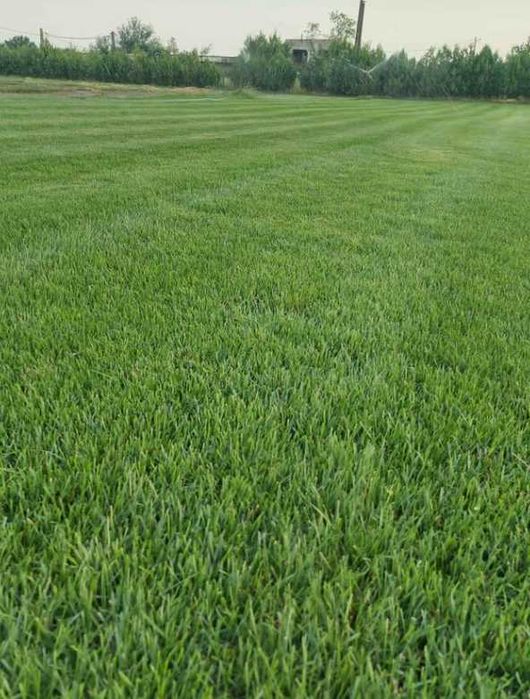 Gazon Rulouri Sisteme de Irigatie