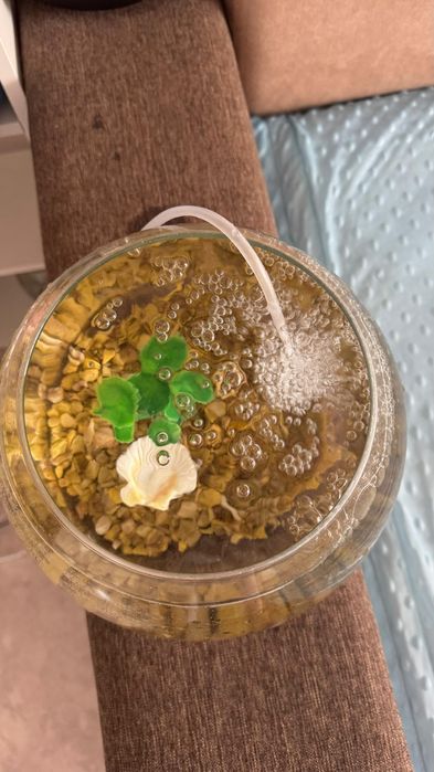 Аквариум с фильтром