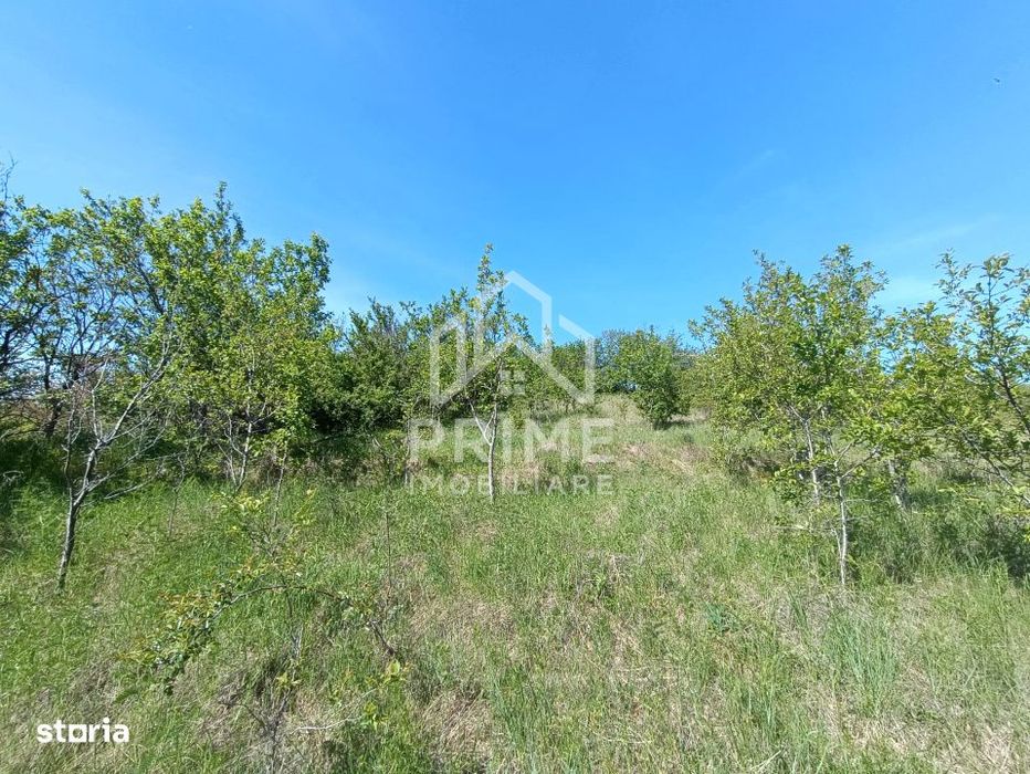 Teren 2160 mp | Panorama | Zona linistita Paclisa